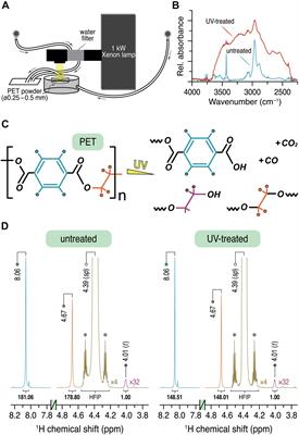 UV Pretreatment Impairs the Enzymatic Degradation of Polyethylene Terephthalate